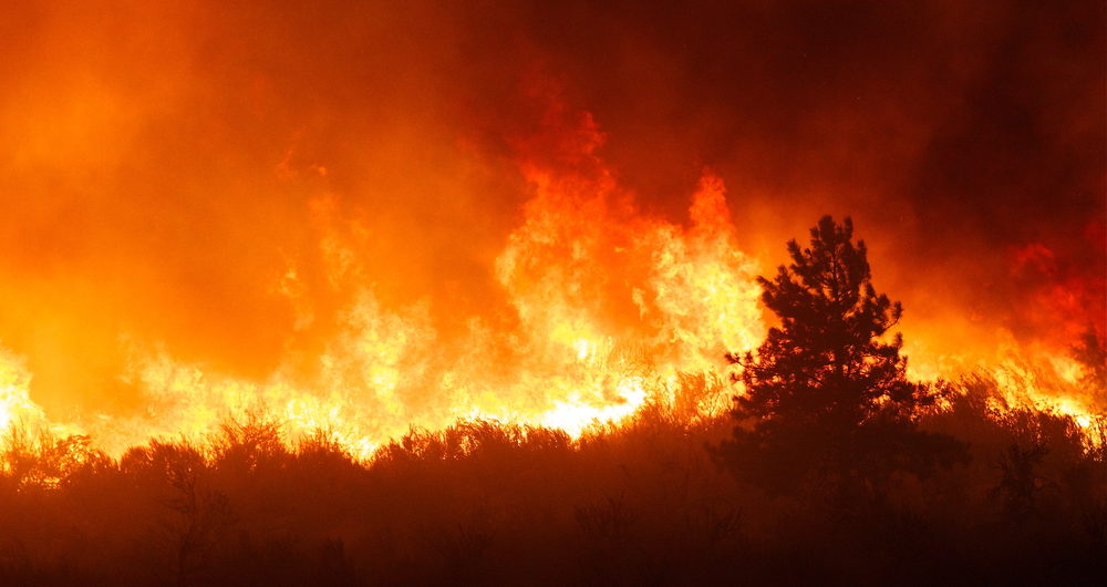Sinkholes, wildfires and earthquakes: Will your home be protected?