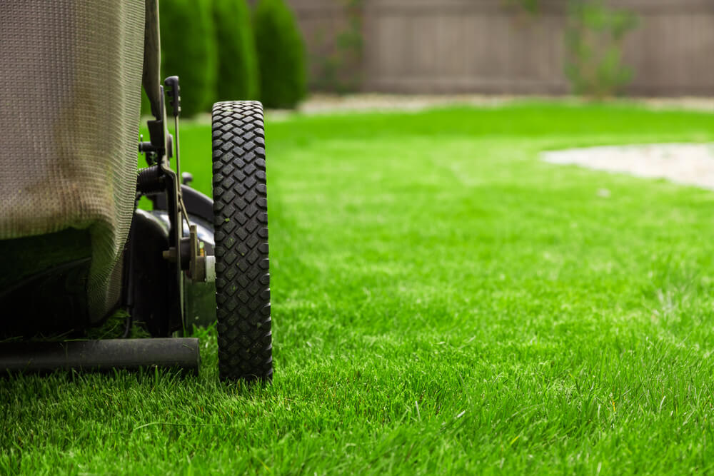 Lawn Care Insurance InsuranceHub