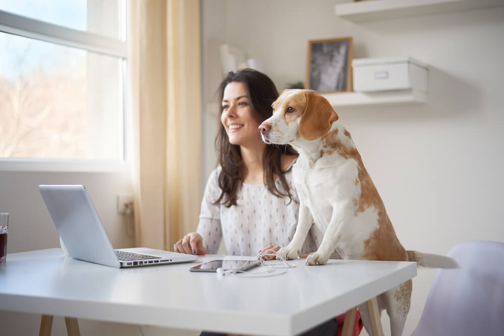 Freezing your credit report can help protect you from identity fraud.