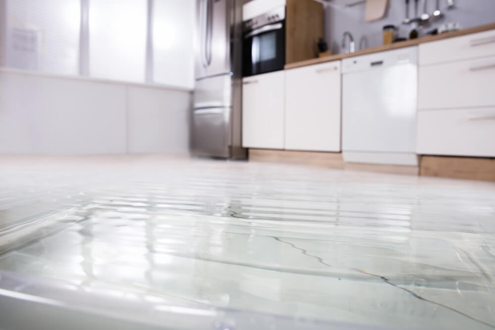Does Your Home Insurance Cover Water, Does Homeowners Insurance Cover Basement Water Damage