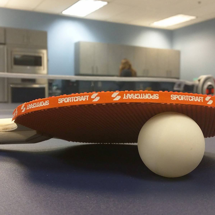 ping pong at inusrancehub