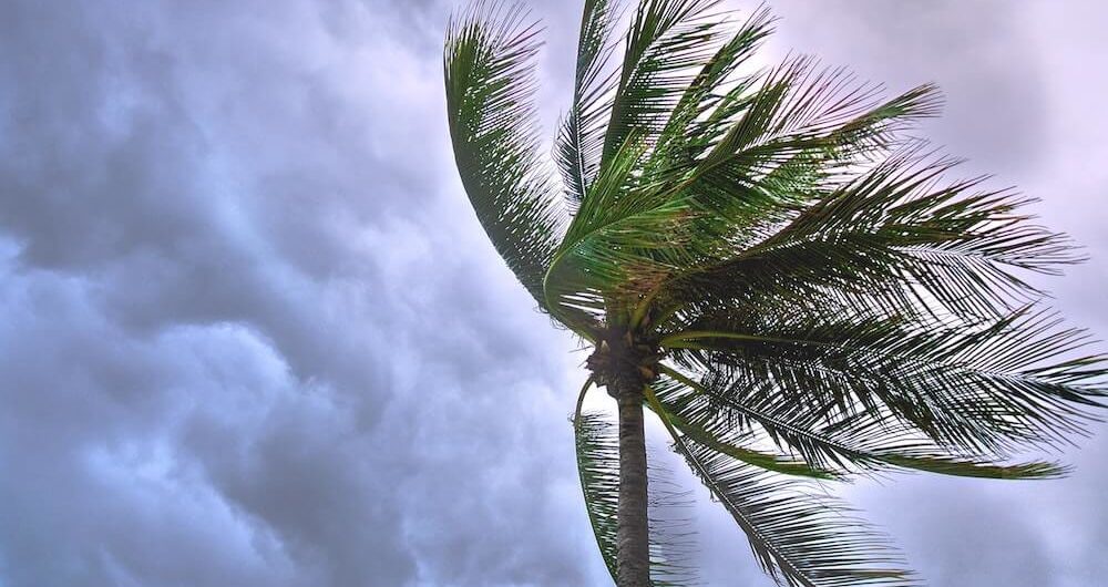 How to prevent wind damage to your home